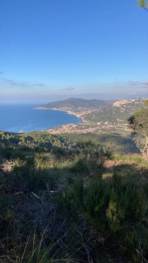 קסטלבאטה Casa Vacanze La Tuia מראה חיצוני תמונה